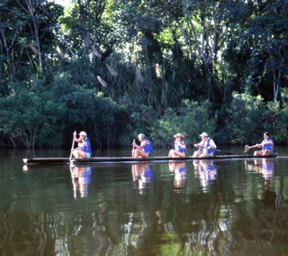 Wetland tour on kayaks