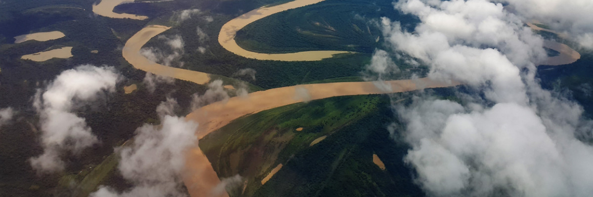 Rainforest deep jungle walkabout